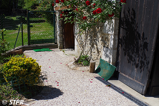 Cours de maison en béton désactivé